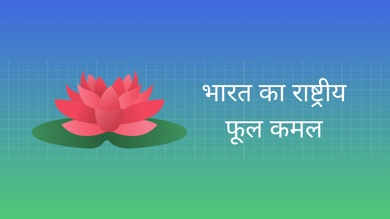  Essay On National Flower Of India In 