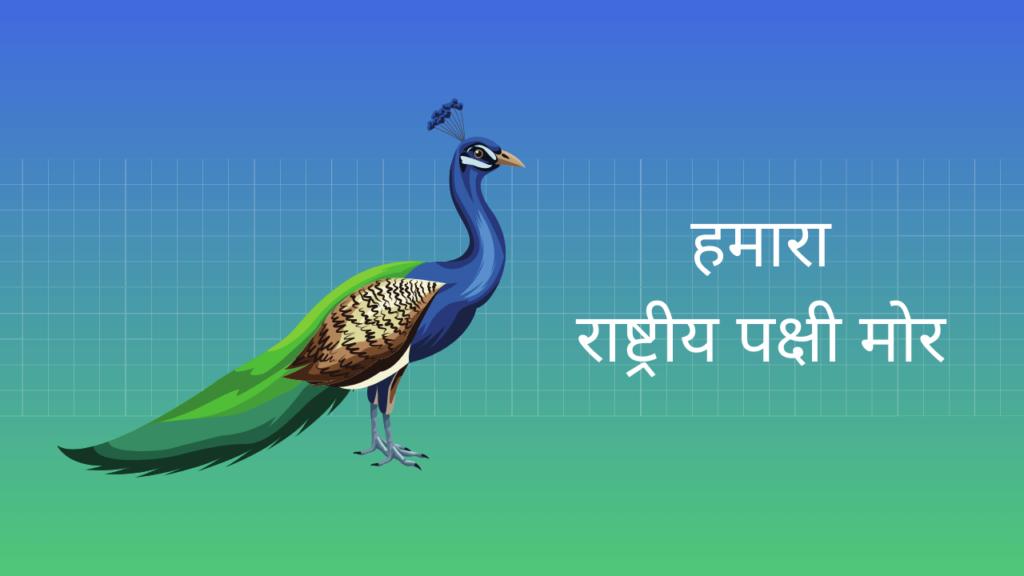 essay-on-our-national-bird-peacock